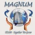 Magnum Elevators & Co.