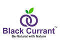BLACK CURRANT CARE PRIVATE LIMITED