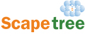 SCAPETREE TECHNOLOGIES INDIA PRIVATE LIMITED
