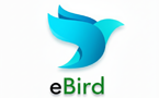 eBird Enterprises