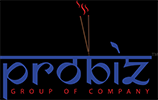 Probiz Group of Company