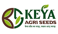 KEYA AGRI SEEDS