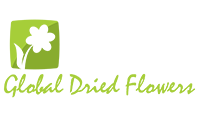 GLOBAL DRIED FLOWER