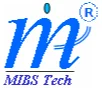MIBS TECH SOLUTIONS