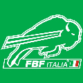 FBF ITALIA PRIVATE LIMITED