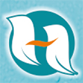 Himalaya Sales