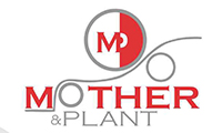 Mother And Plant