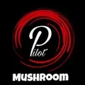Pilot Farms