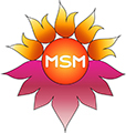 MSM Technologies