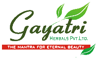 GAYATRI INDUSTRIES