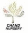 CHAND NURSERY