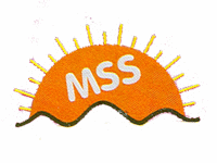 Mechtronics Systems & Solutions