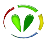 VIRTUAL TECHNOLOGY & SERVICES PRIVATE LIMITED