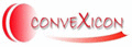 CONVEXICON SOFTWARE SOLUTIONS INDIA PVT. LTD.