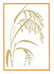MUSKAN OVERSEAS PVT. LTD.