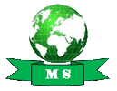 M. S. INTERNATIONAL