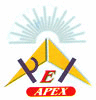 APEX MANAGEMENT & ADVISORY SERVICE PRIVATE LIMITED