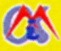 Mauryaa International