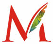 Silver Touch Enterprises