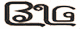 BIDYA LINKING GROUP