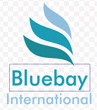 BLUE BAY INTERNATIONAL
