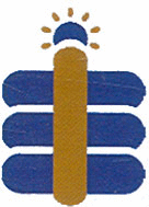 INDUCTION ELECTRIC