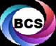 BUSINESS CARE SOLUTIONS