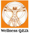 WELLNESS Q.E.D.
