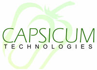 CAPSICUM TECHNOLOGIES PRIVATE LIMITED