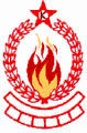 FIRE SAFETY DEVICES PVT. LTD.