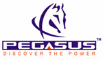 Pegasus TeleSecure Private Limited