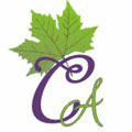 CASHMIR ARTISTRY