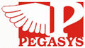 PEGASYS MACHINES PRIVATE LIMITED