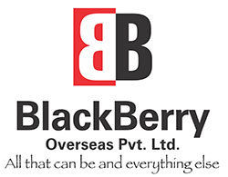 BLACK BERRY OVERSEAS PVT. LTD.