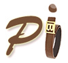 Pavni International