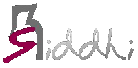 RIDDHI SIDDHI ENTERPRISES