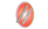 AMIN CHAND SPRING INDUSTRIES