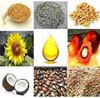 AGROPROCESS ENGINEERS PVT. LTD.