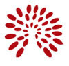 STRAWBERY GROUP