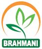 BRAHMANI HOMEO CARE