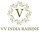 V V INDIA
