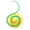 COSMIC RAYS HOLISTIC WORLD
