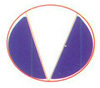 VINAY INDUSTRIES