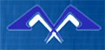 MAHAVIR SOFT IMAGE (I) LTD.