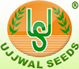 UJJWAL SEEDS PVT. LTD.