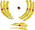 URAMMA CRAFT