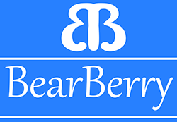 BEAR BERRY