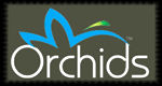 Orchids International