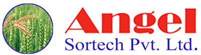 Angel Sortech Pvt Ltd