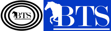 BRZEE TEC SOLUTIONS